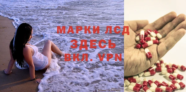 PSILOCYBIN Усмань