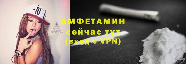 прущая мука Вяземский
