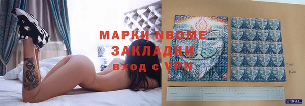 прущая мука Вяземский