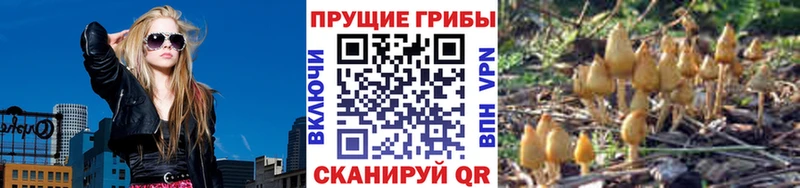 Псилоцибиновые грибы прущие грибы  Среднеколымск 